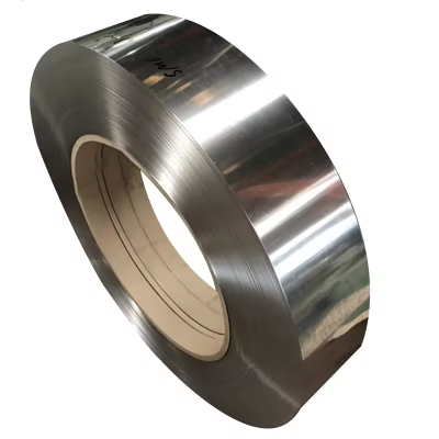 Stainless Steel Strip